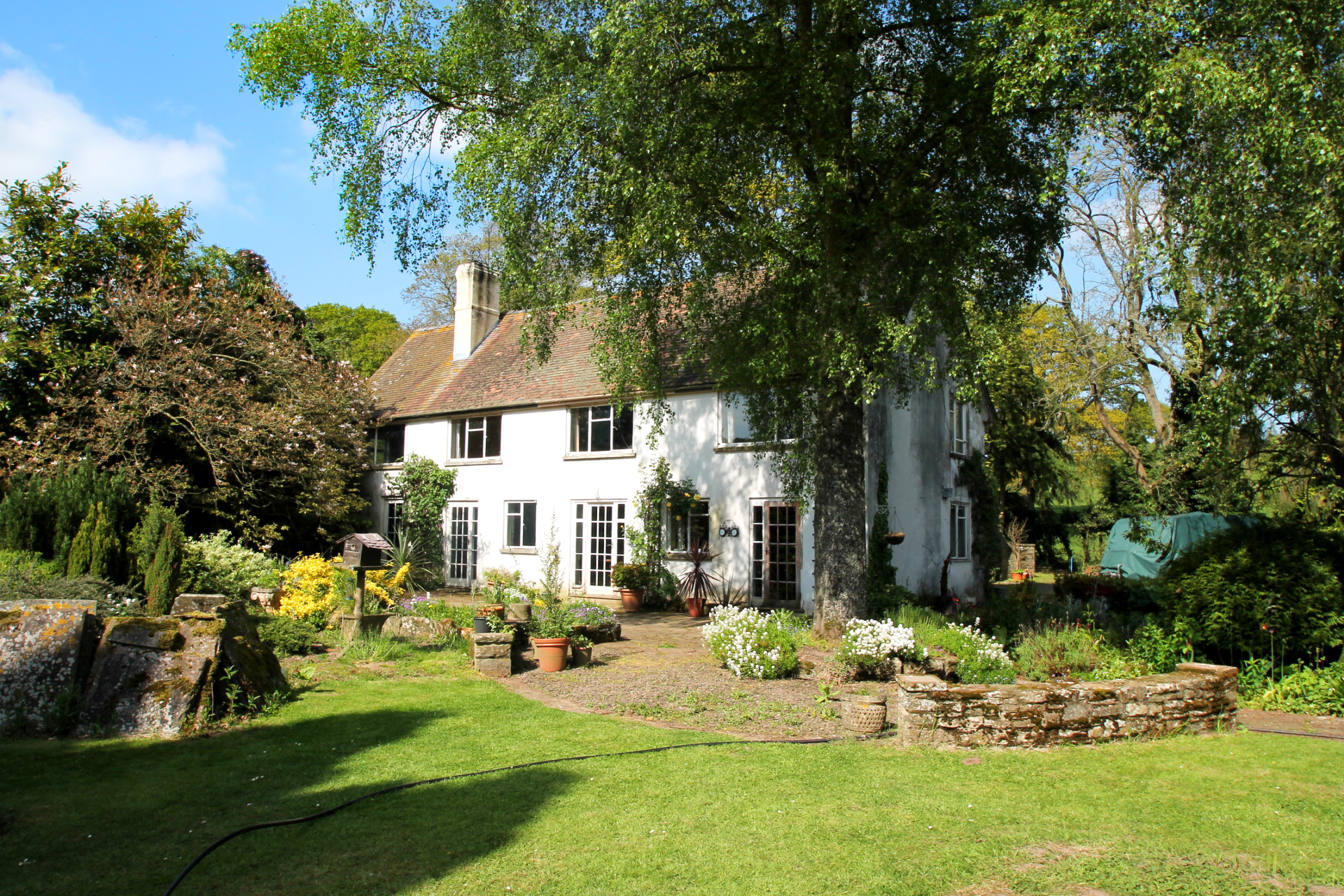 Cobb Amos Estate Agents MAIN